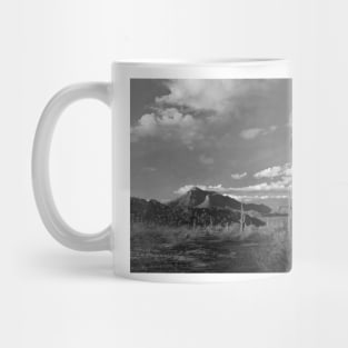 Saguaro And Teddybear Cholla Cacti And The Picacho Mountains Mug